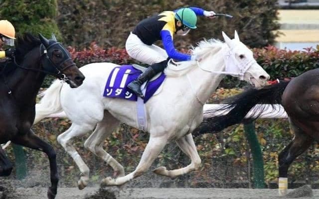 白い馬体が強豪牡馬相手に躍動 砂で復調のきっかけつかんだ22年フェブラリーS