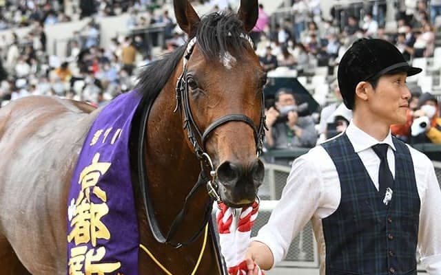 サウジ＆ドバイより“大盤振る舞い”!? G3なのに賞金破格のカタール・アミールトロフィー