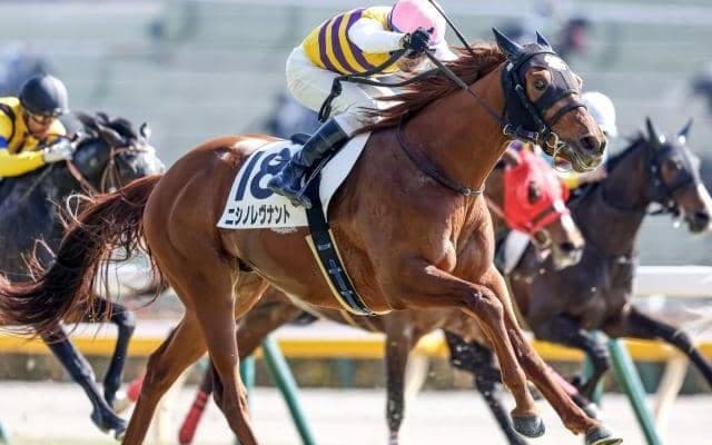  【ダイヤモンドS予想】スタミナと瞬発力が必須！ 思い切って“軽視”も一手の人気馬とは