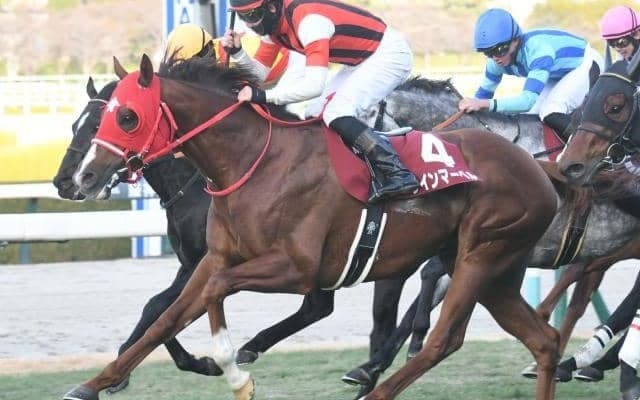 【阪急杯想定馬・騎手】ウインマーベル、スマートクラージュなど18頭