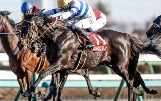 【中山記念想定馬・騎手】ヒシイグアス、ソールオリエンスなど20頭