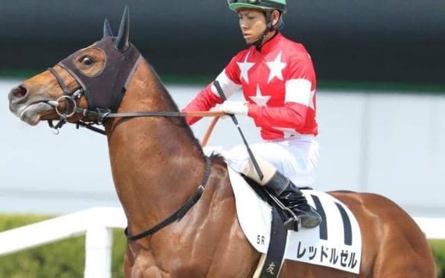 北村友一騎手が3年ぶりのJRA重賞Vへ メンバー中随一の実績馬と久々タッグ