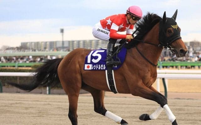 フェブラリーＳで注意すべきは展開が有利に働く古豪の一発　芝の実績馬や有力な地方所属馬には苦戦傾向あり