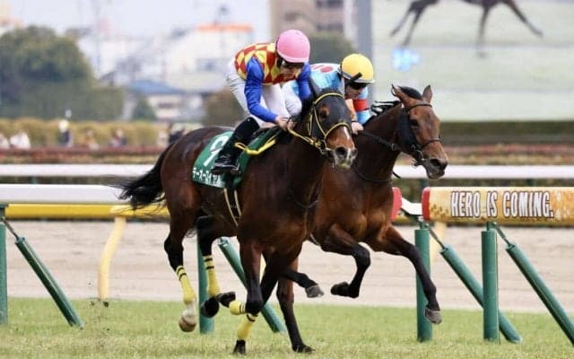 【ダイヤモンドS】テーオーロイヤルが2年ぶり2度目の制覇