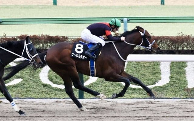 【金蹄S】断然人気クールミラボーがオープン入り…ルメール騎手は3連勝