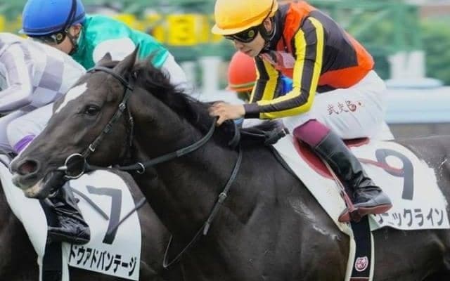 半姉は名牝ソングライン 良血馬が自己条件で巻き返し期す