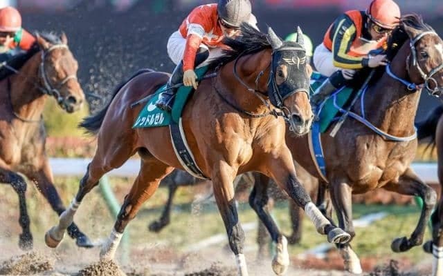 【AI予想・フェブラリーS】多種多様なメンバーで大混戦！ 人工知能は衰え知らずのベテランに◎