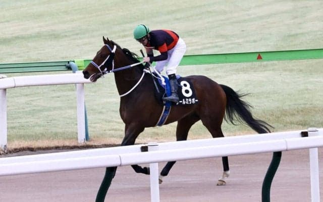 【金蹄S】ルメール「この先も楽しみ」クールミラボーがオープン入り