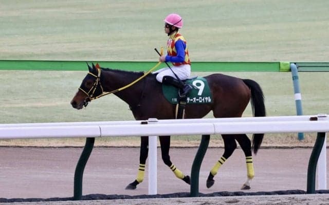 【ダイヤモンドS】菱田「（サリエラを）終始見ながら」テーオーロイヤルが2度目の同レース制覇