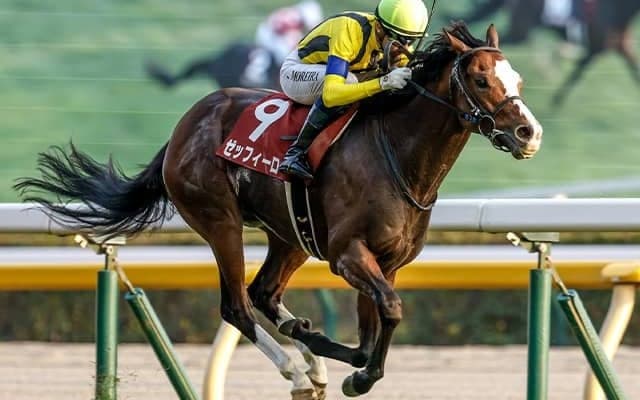 【カタール・アミールT】UAEのレベルスロマンスが完勝、日本勢は2・3・4着