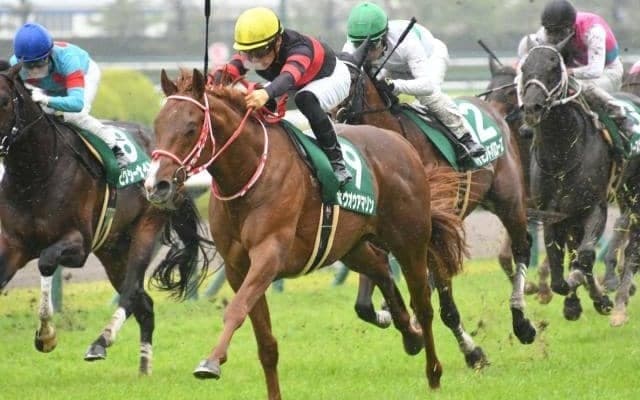 矢作芳人調教師が全10場重賞制覇なるか ホウオウアマゾンで小倉大賞典に参戦