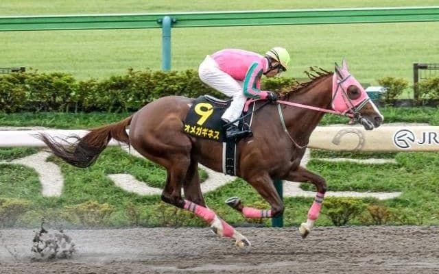 【今日の注目ポイント】フェブラリーSに多彩なメンバーが集結