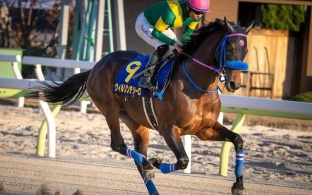 【フェブラリーS予想】GI戦線ここに開幕！ 上半期のJRAダート王者に輝くのは？