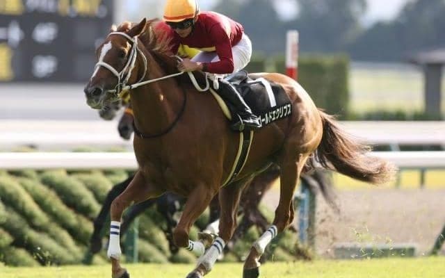 【小倉大賞典予想】多頭数+ハンデ+小回り小倉で激戦必至 カギは「先行して長く使える脚」