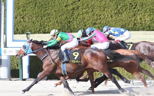 人気割れのフェブラリーＳは高配当が飛び出す予感...穴党記者が推すのは一芸に秀でた２頭