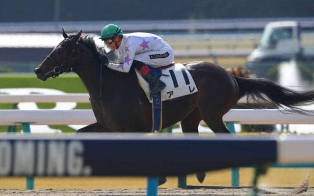 【京都3R】話題の馬アレが「初アレ」を決める