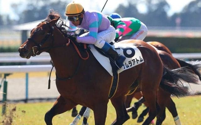 【京都6R】ナムラアトムが大外一気を決める