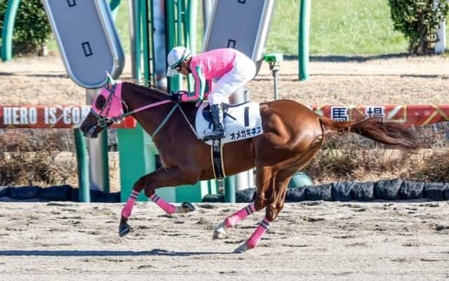 【フェブラリーS予想】狙うなら「逃げ馬」「追い込み馬」どっち？ 過去10年データから探るフェブラリーS