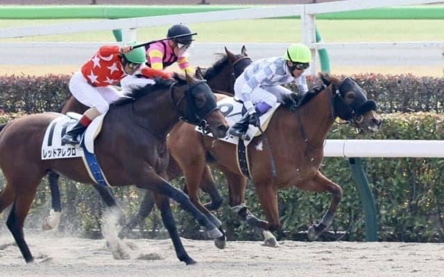 【東京1R】武豊騎乗、良血ローリーグローリーが初勝利