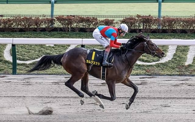 【ヒヤシンスS結果】ラムジェットが突き抜け2連勝