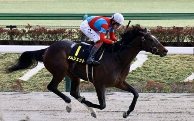 【ヒヤシンスS】ラムジェットがスタート出負けも3馬身差完勝