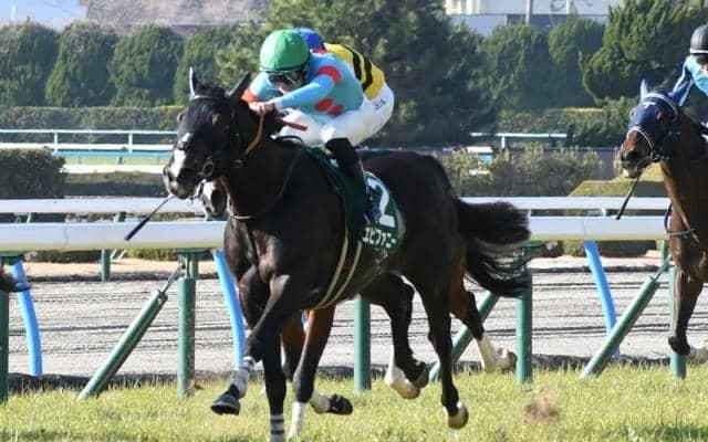 【小倉大賞典結果】エピファニーが差し切り重賞初制覇