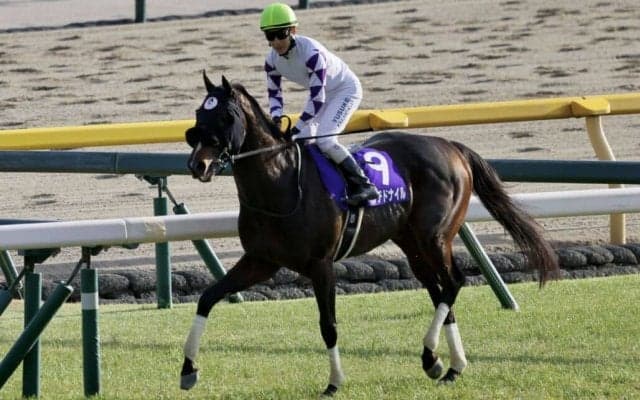 【フェブラリーS】藤岡佑「直線は長かった」伏兵ペプチドナイルがG1初制覇