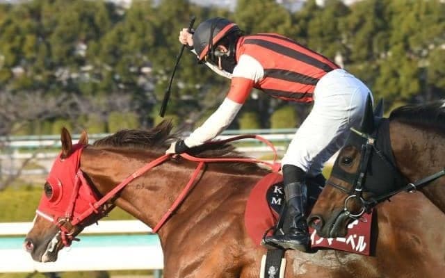 【阪急杯】ウインマーベル、スマートクラージュらが登録