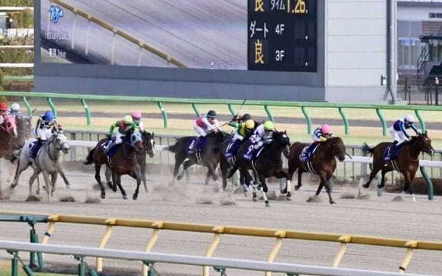 【フェブラリーS】ルメール「伸びきれませんでした」レース後ジョッキーコメント