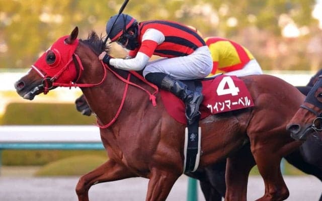 【阪急杯登録馬】ウインマーベルなど19頭