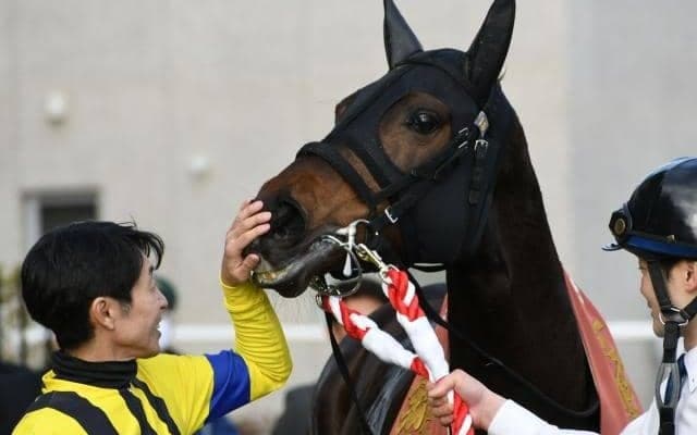 【京都牝馬S】売上は39億4222万7000円で昨年より約2.6億円増加