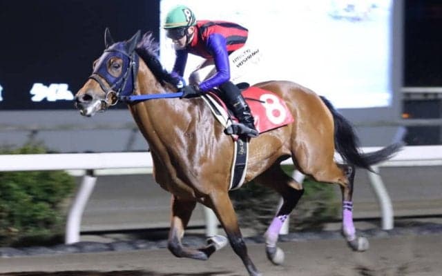 【高知・土佐有楽特別】無敗シンメデージーが5馬身差圧勝…吉原「底を見せていない」