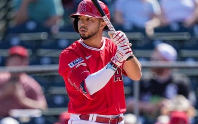 2週間に2度の戦力外→まさかのエ軍出戻り　かつて大谷翔平に謝罪も…23歳が辿る運命