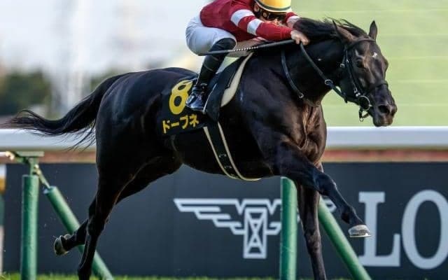 藤田晋オーナーの“5億円馬”が中山記念に挑む 6回目の重賞挑戦で今度こそ