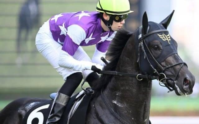 定年間近の安田隆師 “超個性派”で阪急杯3年連続Vに挑む