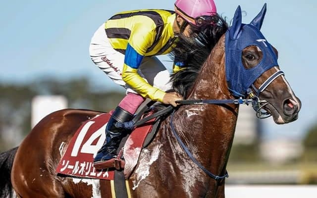 【中山記念想定騎手】ソールオリエンスは田辺裕信騎手、エルトンバローズは西村淳也騎手