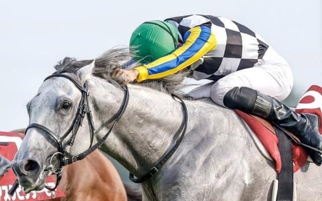 「初ダート」でも適性抜群 ガイアフォースの好走理由は血統にあり