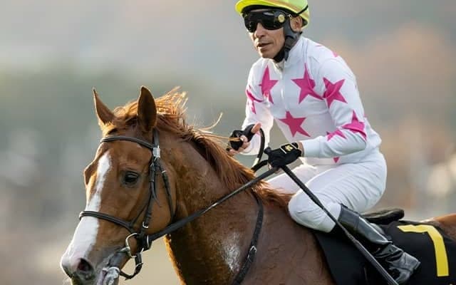 歴代最多5勝の“中山記念男” 横山典弘騎手が伏兵と4年ぶり参戦