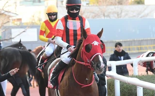 【阪急杯想定騎手】ウインマーベルは松山弘平騎手、ダノンティンパニーはA.ルメートル騎手