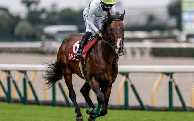 【中山記念展望】前走・初GI挑戦で健闘したエルトンバローズに注目