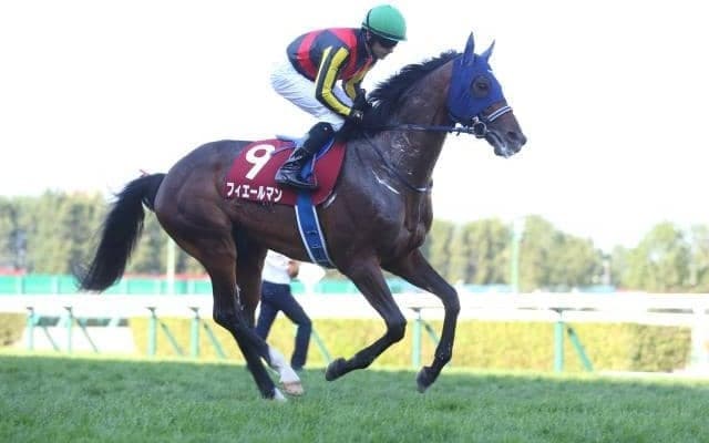 ノーザンファームの「推し種牡馬」を分析 手厚いサポートを受ける注目の一頭とは？