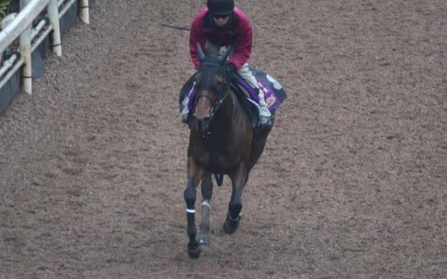 リバティアイランドなど、先週の入厩情報/栗東トレセンニュース