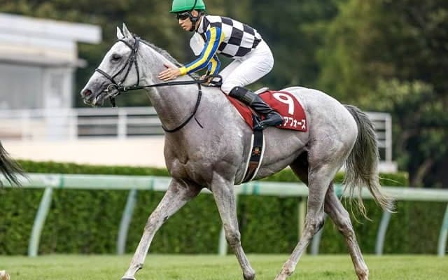 豪・クイーンエリザベスSに日本馬8頭が予備登録 ガイアフォース、ベラジオオペラなど