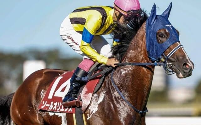 【中山記念予想オッズ】ソールオリエンスが予想1番人気