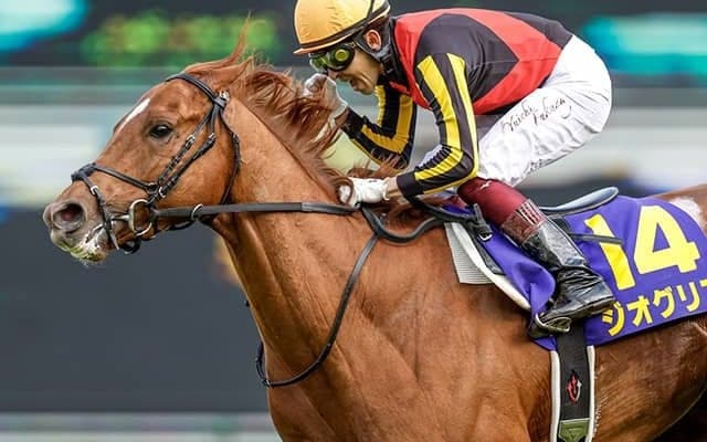 イクイノックス破ったクラシックホースが中山記念参戦 戸崎圭太騎手と新コンビ