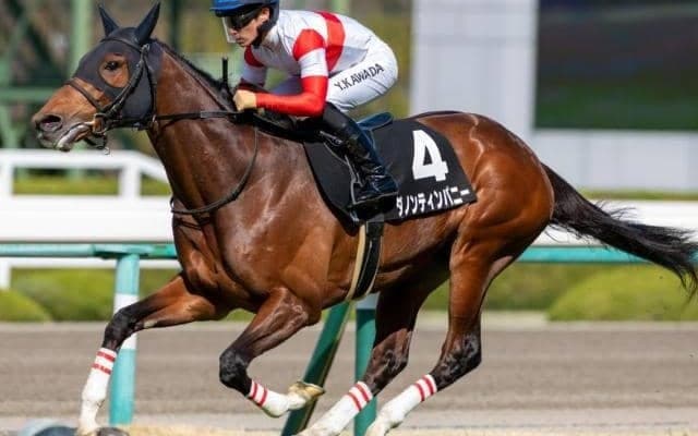 8戦6勝の1億5000万円ホースが阪急杯参戦 叔父はサトノクラウン