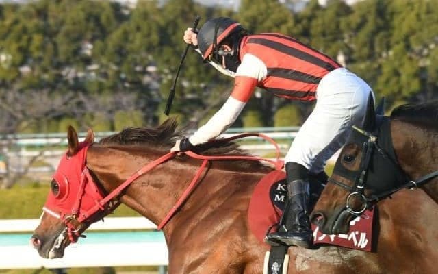 【阪急杯予想オッズ】ウインマーベルが予想1番人気