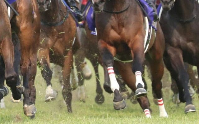 2024クイーンエリザベスステークス（G1）に日本馬が予備登録