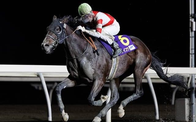 JBC2歳優駿覇者ゴライコウが登録抹消 今後は地方競馬に移籍