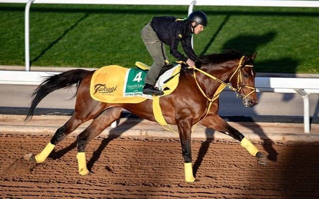 ウシュバテソーロ騎乗の川田騎手「とても雰囲気良く来れている」 サウジC出走予定馬の近況